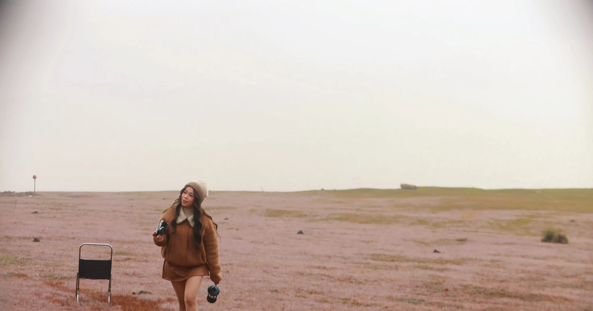 View - Đà Lạt dẫn đầu xu hướng khám phá Việt Nam 2025 | Báo Tri thức và Cuộc sống - TIN TỨC PHỔ BIẾN KIẾN THỨC 24H