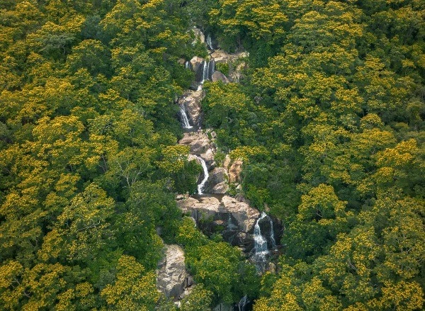 View - Một ngày trekking thác 5 tầng Núi Chúa chạm vào vẻ đẹp nguyên sơ của đại ngàn | Báo Tri thức và Cuộc sống - TIN TỨC PHỔ BIẾN KIẾN THỨC 24H