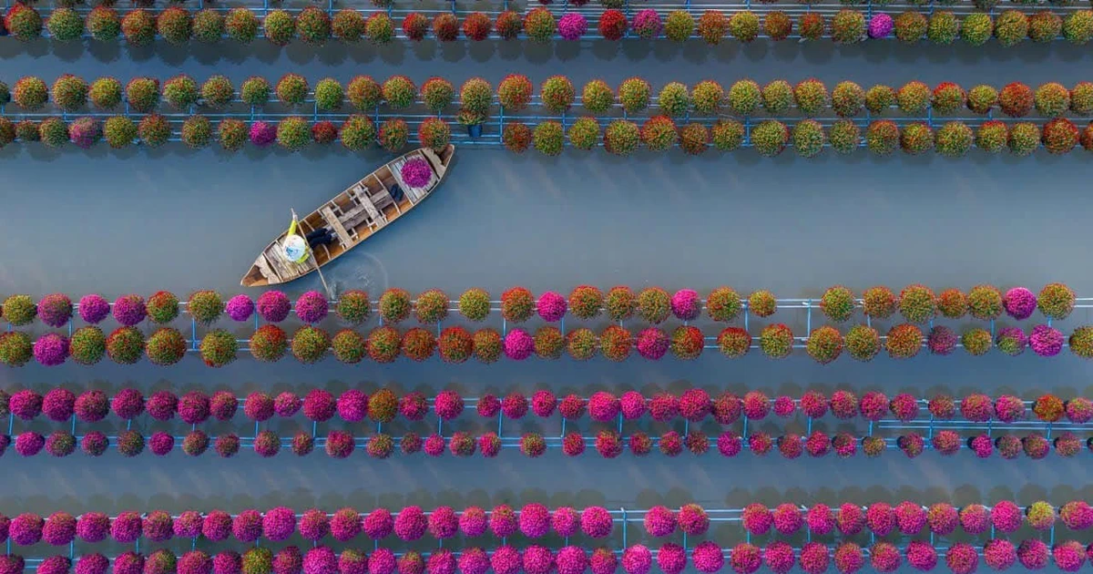 View - Làng hoa Sa Đéc thành di sản quốc gia, điểm đến du lịch hút khách | Báo Tri thức và Cuộc sống - TIN TỨC PHỔ BIẾN KIẾN THỨC 24H