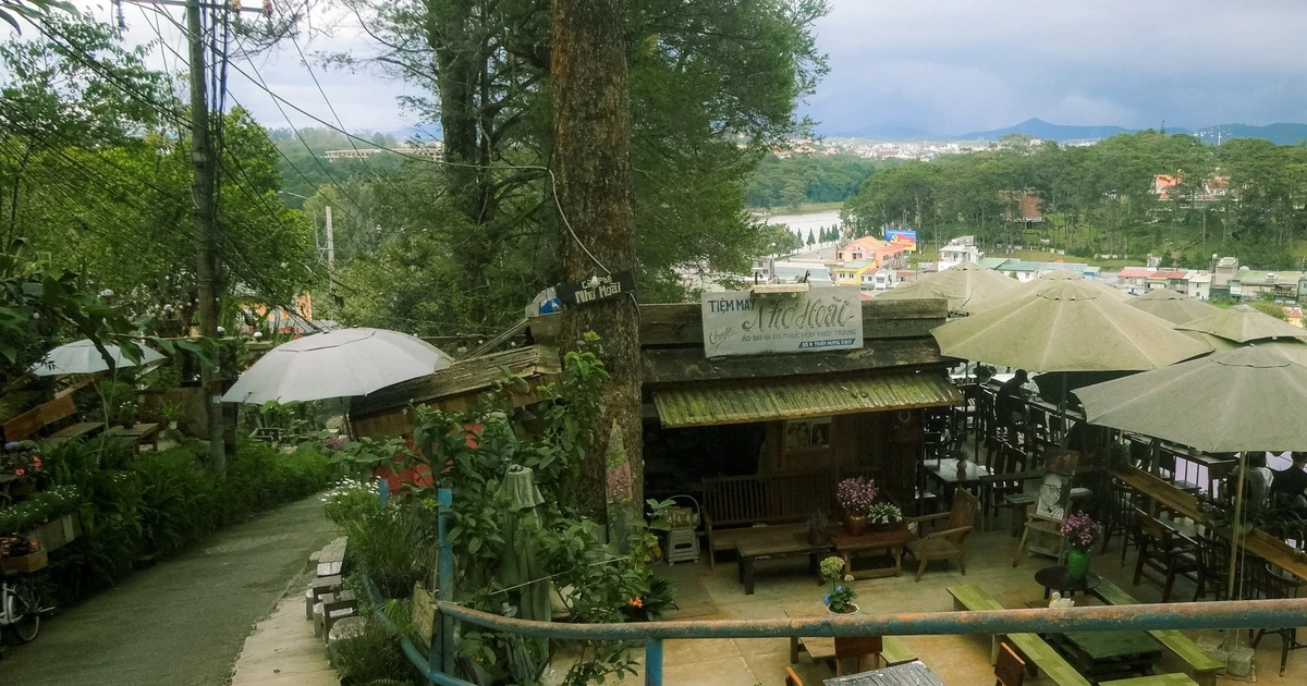 View - Đến Đà Lạt nhất định phải ghé dốc Nhớ Hoài điểm ngắm thành phố đẹp nao lòng | Báo Tri thức và Cuộc sống - TIN TỨC PHỔ BIẾN KIẾN THỨC 24H