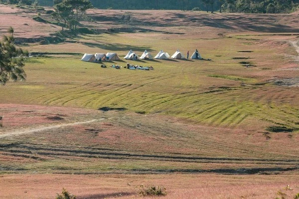 View - Trải nghiệm săn bình minh, cắm trại trên thiên đường cỏ hồng Masara | Báo Tri thức và Cuộc sống - TIN TỨC PHỔ BIẾN KIẾN THỨC 24H