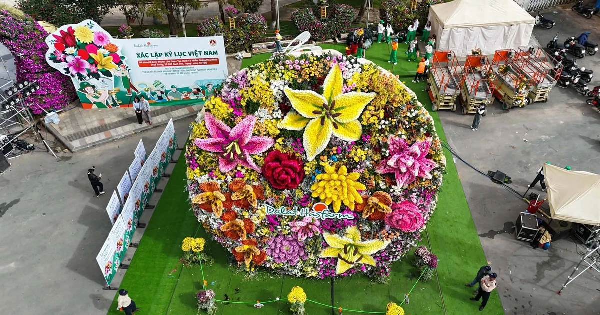 View - Chiêm ngưỡng bó hoa khổng lồ 10 tấn tại Đà Lạt vừa xác lập Kỷ lục Việt Nam | Báo Tri thức và Cuộc sống - TIN TỨC PHỔ BIẾN KIẾN THỨC 24H