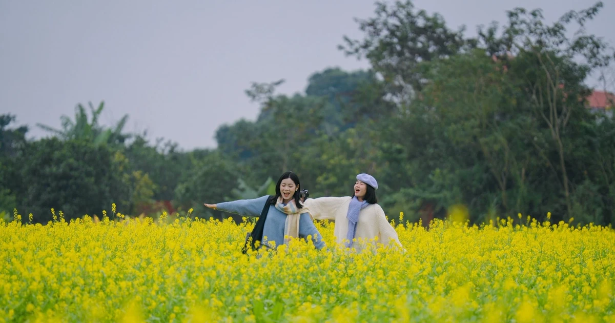 View - Cánh đồng hoa cải vàng rực rỡ ven sông Đuống thu hút du khách cuối năm | Báo Tri thức và Cuộc sống - TIN TỨC PHỔ BIẾN KIẾN THỨC 24H