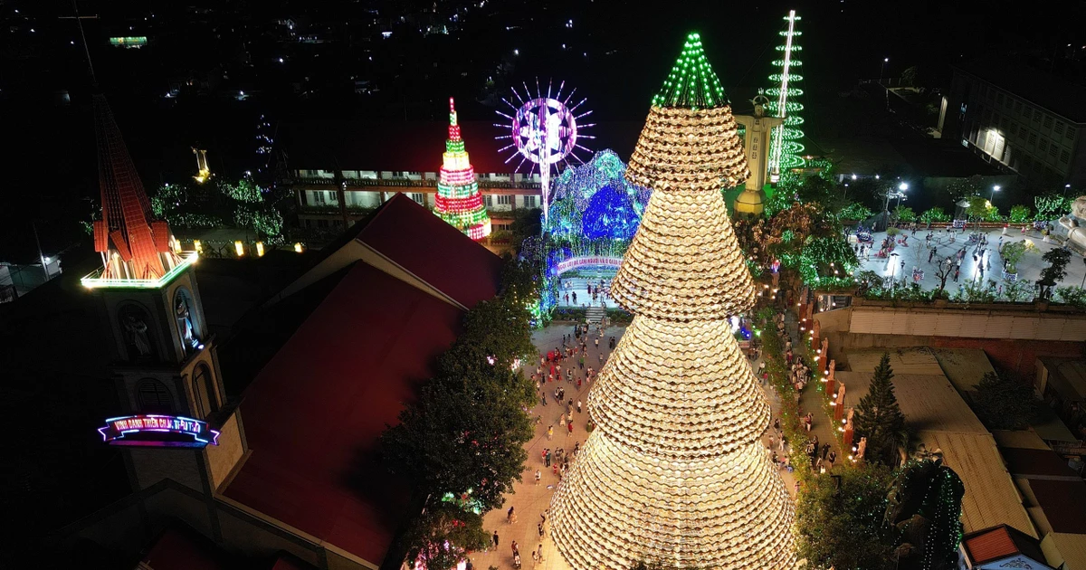 View - Cây thông nón lá độc đáo cao 35 m tại Đồng Nai thu hút du khách dịp Noel | Báo Tri thức và Cuộc sống - TIN TỨC PHỔ BIẾN KIẾN THỨC 24H