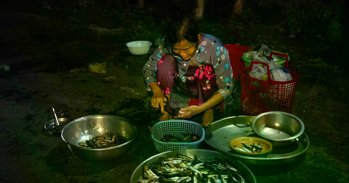 View - Đến An Giang mùa nước nổi trải nghiệm đi chợ 'ma' lúc nửa đêm | Báo Tri thức và Cuộc sống - TIN TỨC PHỔ BIẾN KIẾN THỨC 24H