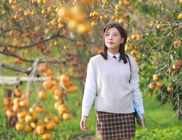 View - Mộc Châu nhuộm sắc cam mùa hồng chín, chọn tour nào để trải nghiệm trọn vẹn? | Báo Tri thức và Cuộc sống - TIN TỨC PHỔ BIẾN KIẾN THỨC 24H