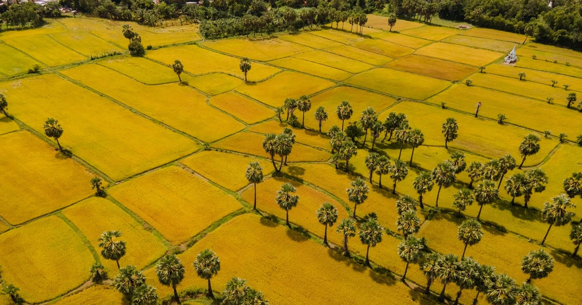 View - Đến An Giang ngắm 'tấm thảm vàng' Tà Pạ giữa miền Bảy Núi | Báo Tri thức và Cuộc sống - TIN TỨC PHỔ BIẾN KIẾN THỨC 24H