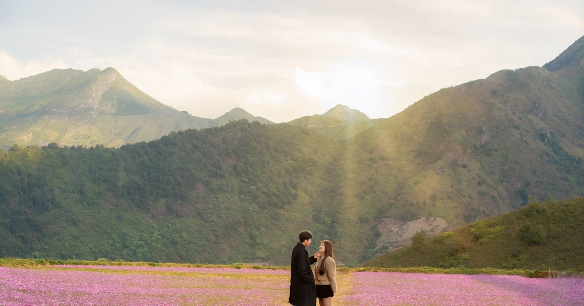 View - Mùa hoa cánh bướm ở Tà Xùa, lựa chọn mới cho du khách mê thiên nhiên | Báo Tri thức và Cuộc sống - TIN TỨC PHỔ BIẾN KIẾN THỨC 24H