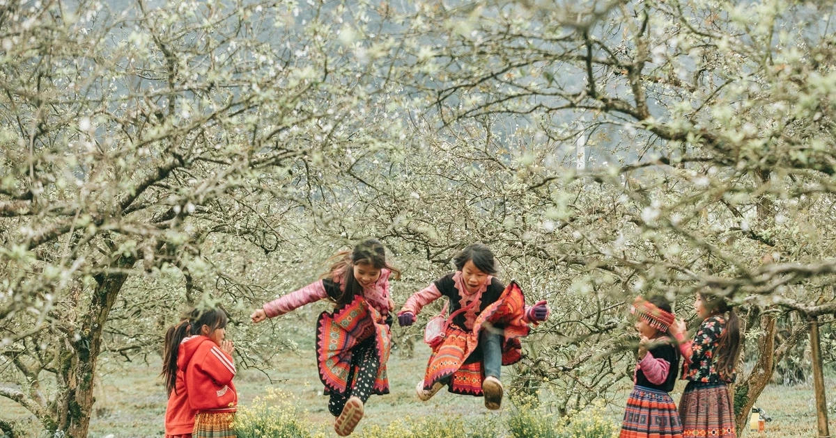 View - Việt Nam có gì hấp dẫn để được vinh danh điểm đến mùa Đông lý tưởng? | Báo Tri thức và Cuộc sống - TIN TỨC PHỔ BIẾN KIẾN THỨC 24H