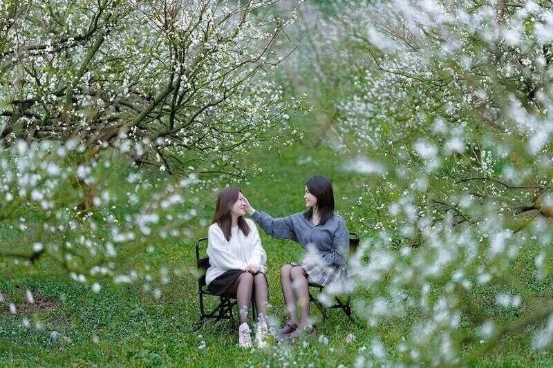 Gallery - Du lịch Mộc Châu mùa đông những điểm đến không thể bỏ lỡ | Báo Tri thức và Cuộc sống - TIN TỨC PHỔ BIẾN KIẾN THỨC 24H