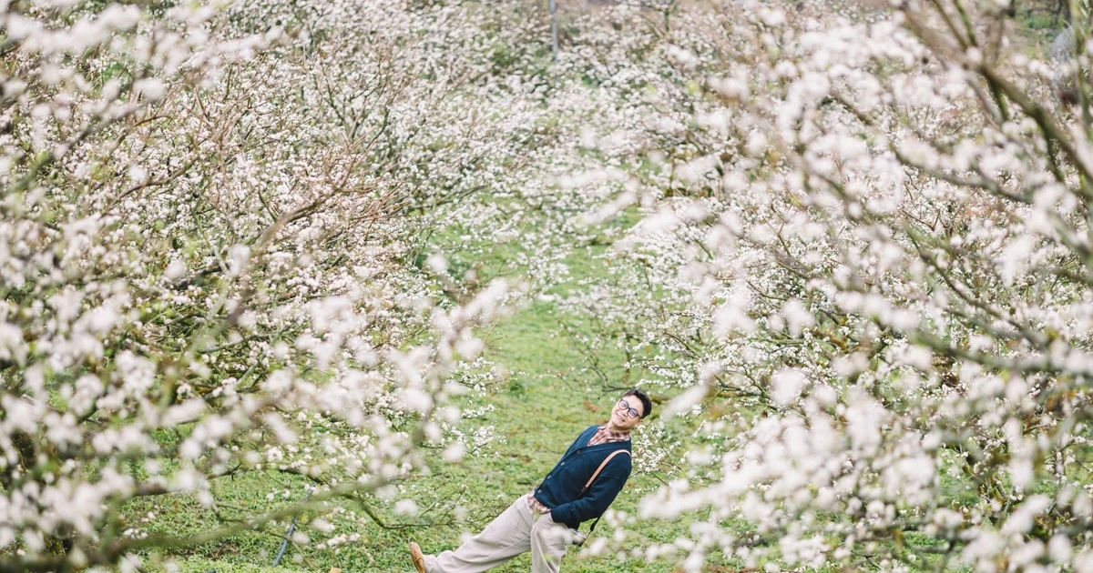 View - Gợi ý 5 điểm du xuân miền núi phía Bắc không thể bỏ lỡ | Báo Tri thức và Cuộc sống - TIN TỨC PHỔ BIẾN KIẾN THỨC 24H