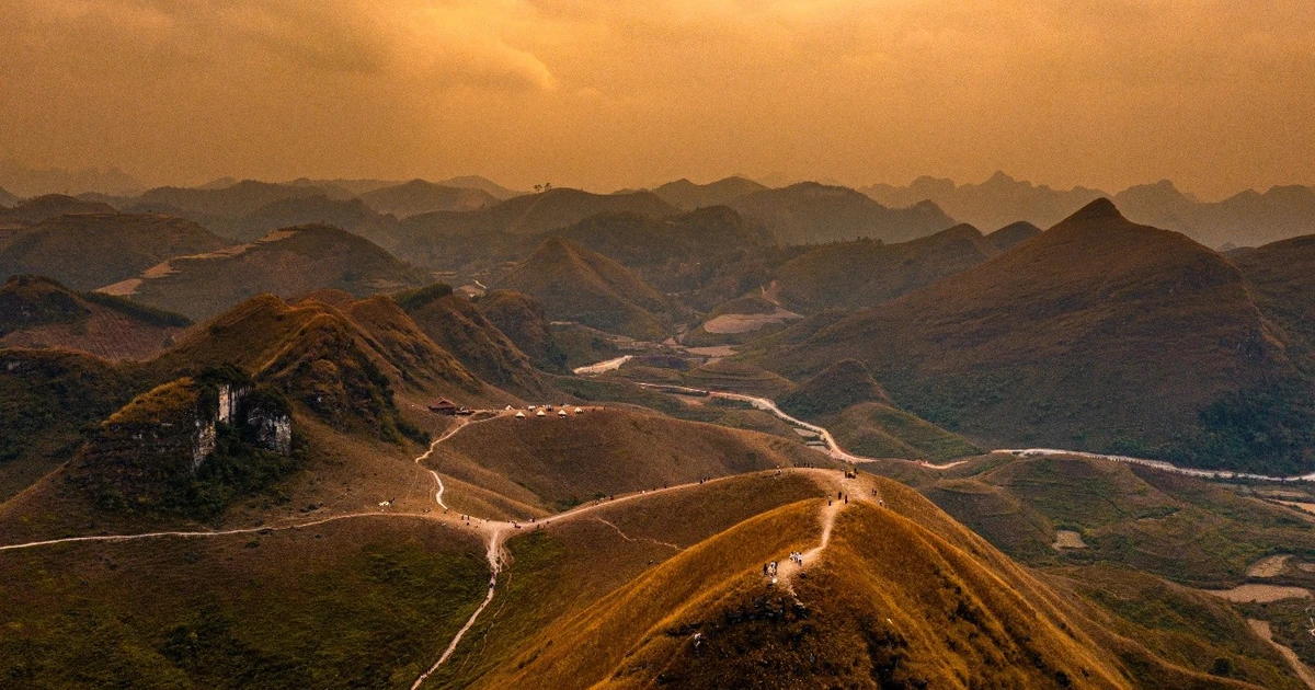 Hạ Lang mùa thu hút du khách bởi sắc vàng cỏ cháy rực rỡ