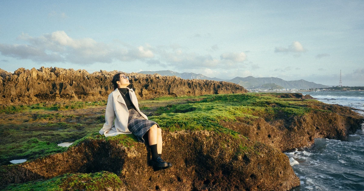 View - Bãi rêu xanh mướt ở Hòn Đỏ, bức tranh thủy mặc giữa biển Khánh Hòa | Báo Tri thức và Cuộc sống - TIN TỨC PHỔ BIẾN KIẾN THỨC 24H