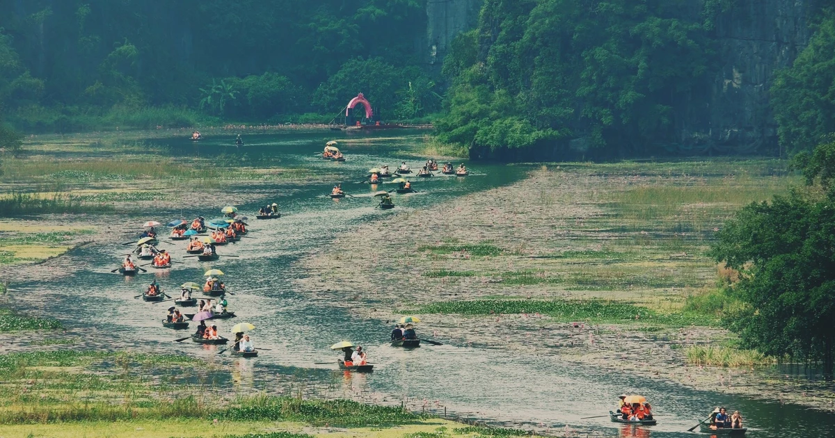 View - Ngồi thuyền ngắm mùa hoa súng Tam Cốc, du khách say quên lối về | Báo Tri thức và Cuộc sống - TIN TỨC PHỔ BIẾN KIẾN THỨC 24H