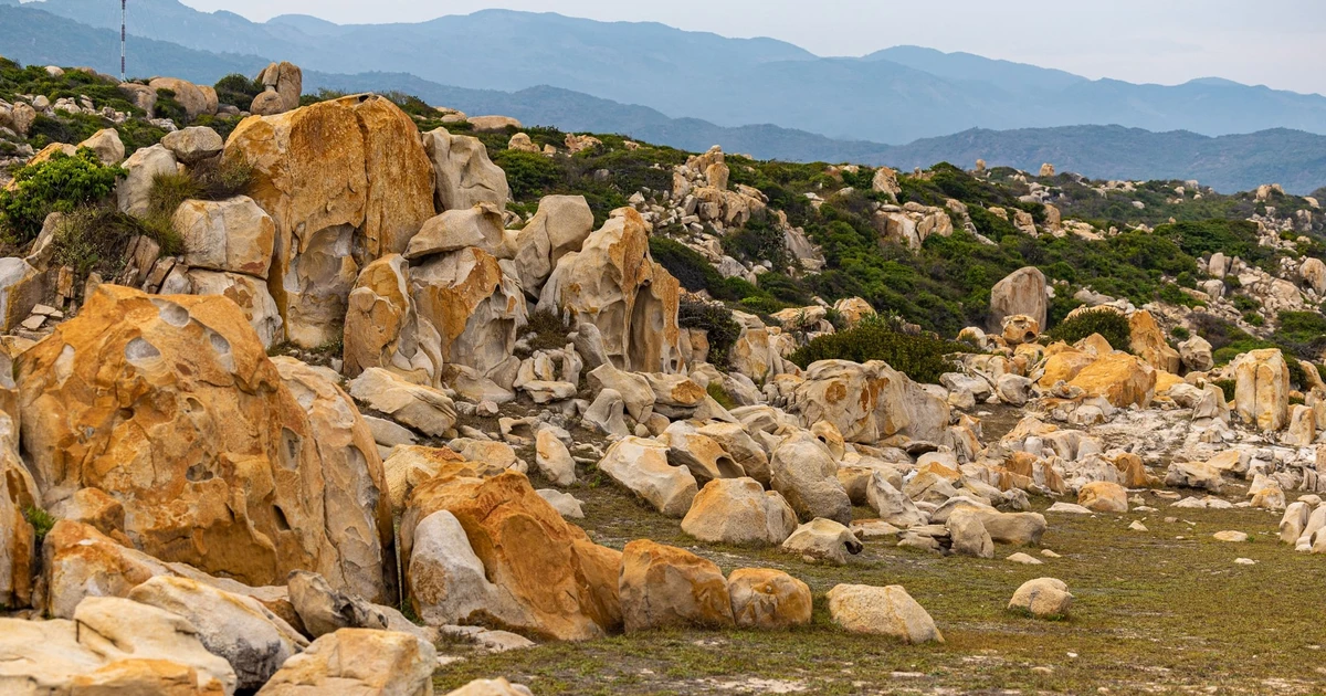 View - Rừng sa mạc Núi Chúa điểm đến hút du khách yêu thiên nhiên | Báo Tri thức và Cuộc sống - TIN TỨC PHỔ BIẾN KIẾN THỨC 24H