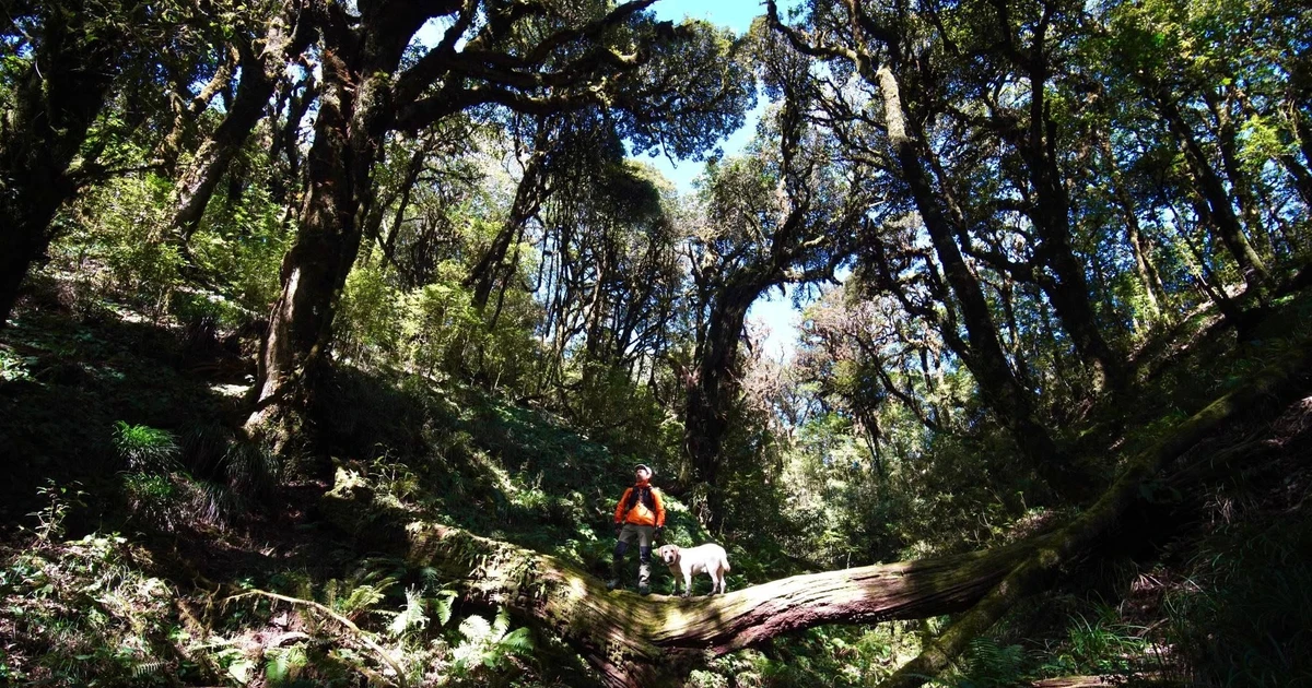 View - Chinh phục Tây Côn Lĩnh hành trình đến đỉnh núi huyền thoại của Đông Bắc | Báo Tri thức và Cuộc sống - TIN TỨC PHỔ BIẾN KIẾN THỨC 24H