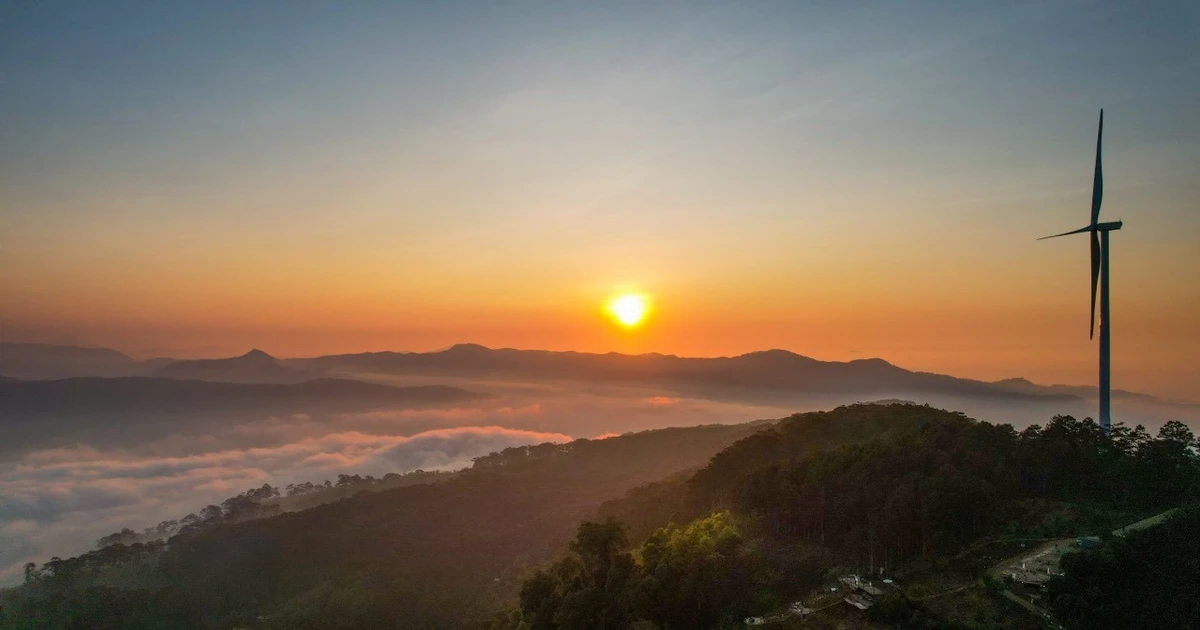 View - Đồi chè Cầu Đất điểm 'săn' bình minh khiến du khách mê mẩn | Báo Tri thức và Cuộc sống - TIN TỨC PHỔ BIẾN KIẾN THỨC 24H