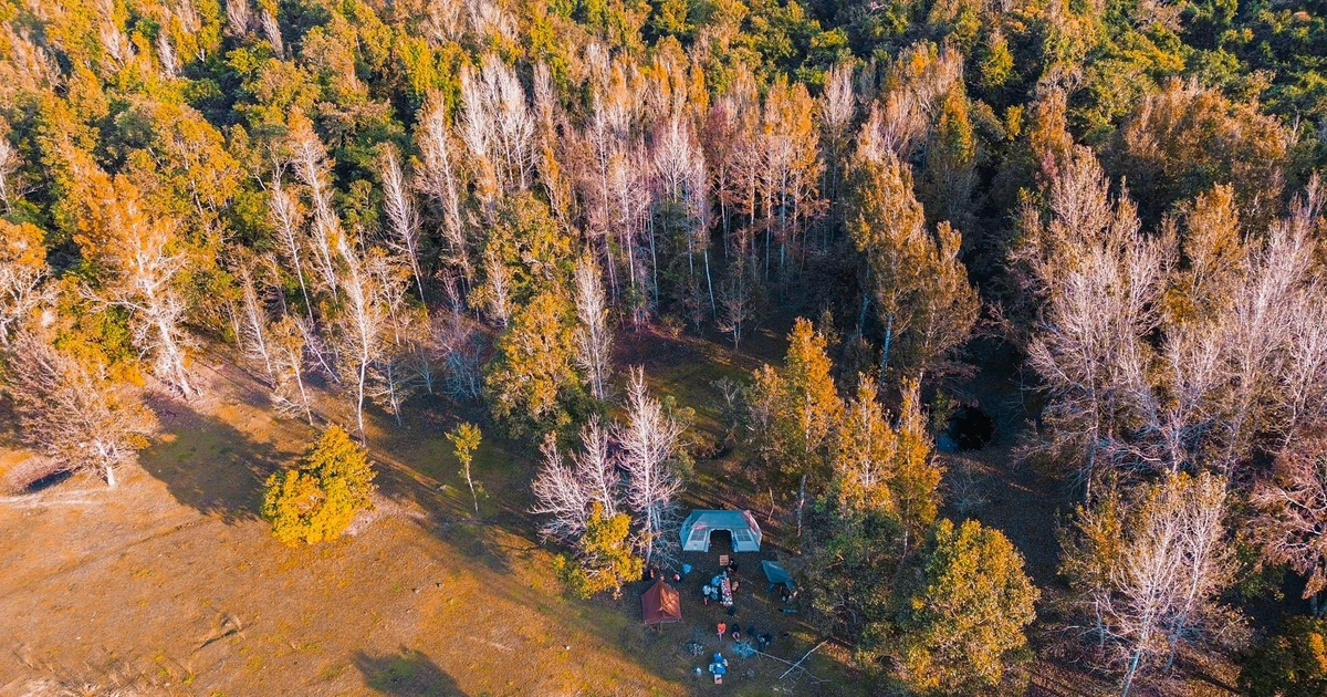 View - Trốn phố về Khe Sanh, cắm trại, chèo SUP và ngắm mùa lá đỏ đẹp nhất năm | Báo Tri thức và Cuộc sống - TIN TỨC PHỔ BIẾN KIẾN THỨC 24H