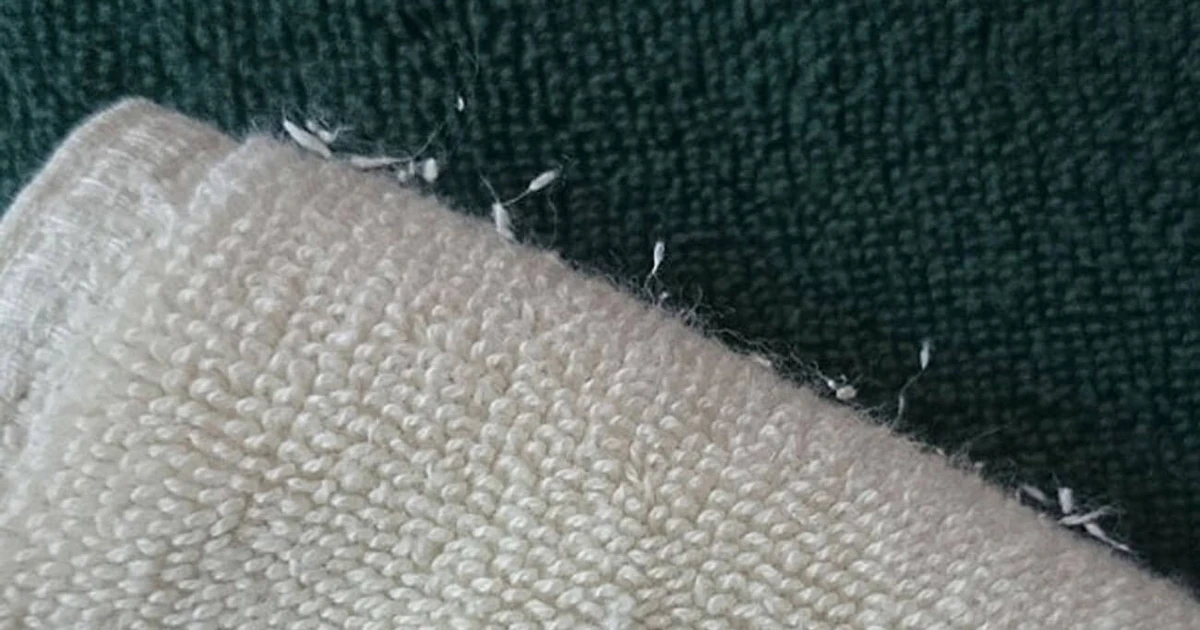 View - Mẹo đơn giản giữ áo len mềm mịn, ‘nói không’ với xơ vải | Báo Tri thức và Cuộc sống - TIN TỨC PHỔ BIẾN KIẾN THỨC 24H