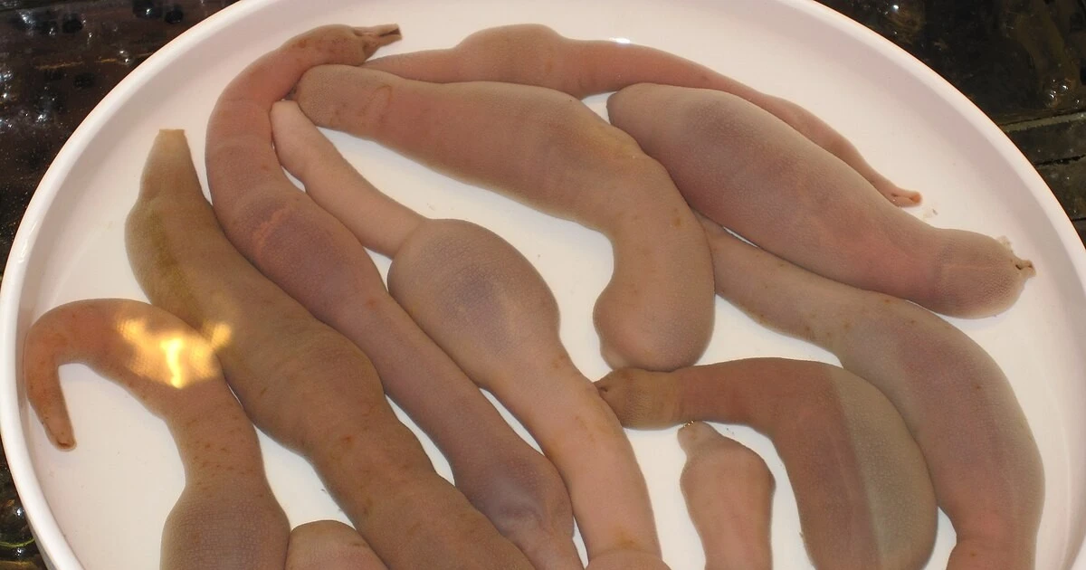 Loài cá nghe tên lạ, ngượng đỏ mặt được săn lùng