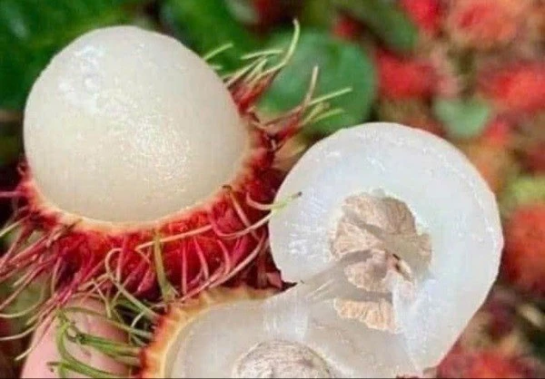 Gallery - Nhiều trái cây giá giảm sâu | Báo Tri thức và Cuộc sống - TIN TỨC PHỔ BIẾN KIẾN THỨC 24H