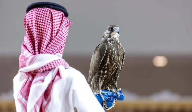 Gallery - Con chim 4,5 tỷ đồng, đại gia vẫn quyết xuống tiền | Báo Tri thức và Cuộc sống - TIN TỨC PHỔ BIẾN KIẾN THỨC 24H