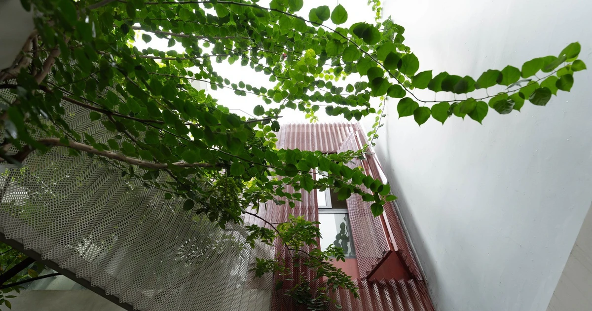 View - Độc đáo nhà phố được kiến tạo từ những khoảng thở | Báo Tri thức và Cuộc sống - TIN TỨC PHỔ BIẾN KIẾN THỨC 24H