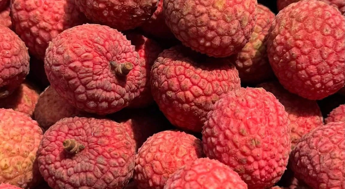 View - Vải thiều Australia về Việt Nam 800.000 đồng/kg ngon cỡ nào? | Báo Tri thức và Cuộc sống - TIN TỨC PHỔ BIẾN KIẾN THỨC 24H