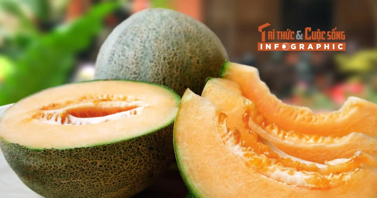View - [INFOGRAPHIC] Loại quả đắt đỏ nhất thế giới 2025 | Báo Tri thức và Cuộc sống - TIN TỨC PHỔ BIẾN KIẾN THỨC 24H