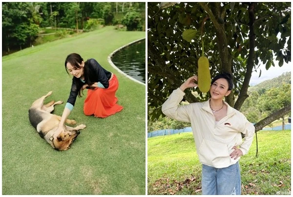 View - Biệt phủ 6.000m2 của mỹ nhân được chồng đại gia tổ chức lễ cưới nghìn tỷ | Báo Tri thức và Cuộc sống - TIN TỨC PHỔ BIẾN KIẾN THỨC 24H