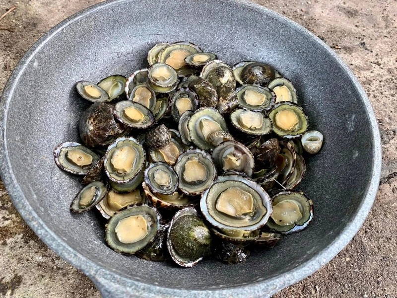 View - Đặc sản nghe tên "ngượng đỏ mặt" 300.000 đồng/kg hút khách | Báo Tri thức và Cuộc sống - TIN TỨC PHỔ BIẾN KIẾN THỨC 24H