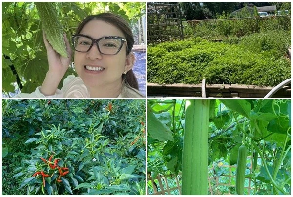 View - Khu vườn xanh mướt trong biệt thự của ca sĩ Phạm Thanh Thảo | Báo Tri thức và Cuộc sống - TIN TỨC PHỔ BIẾN KIẾN THỨC 24H