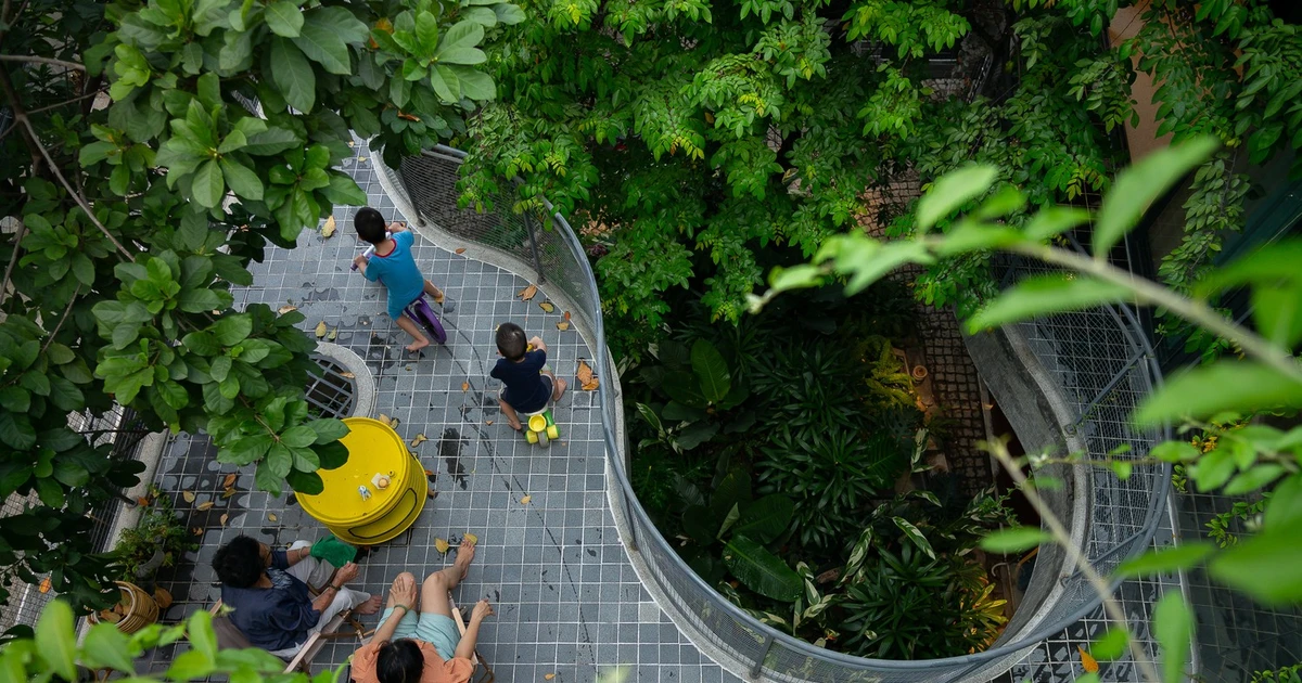 View - Nhà phố như "công viên thu nhỏ" giữa lòng Sài Gòn | Báo Tri thức và Cuộc sống - TIN TỨC PHỔ BIẾN KIẾN THỨC 24H