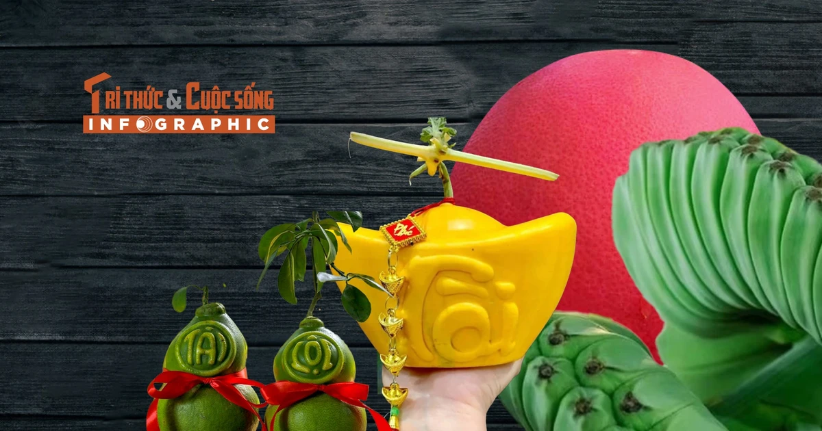 View - [INFOGRAPHIC] 4 loại quả độc lạ hút khách dịp Tết | Báo Tri thức và Cuộc sống - TIN TỨC PHỔ BIẾN KIẾN THỨC 24H