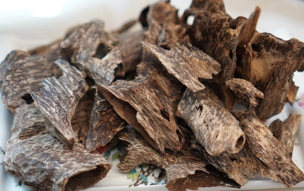 View - Loại gỗ gần 2,6 tỷ đồng/kg, nhà giàu đổ xô săn lùng | Báo Tri thức và Cuộc sống - TIN TỨC PHỔ BIẾN KIẾN THỨC 24H