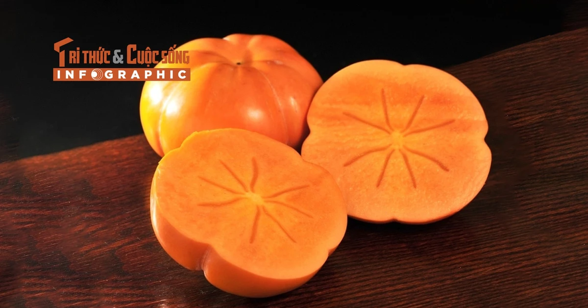 View - [INFOGRAPHIC] 3 giống hồng Nhật Bản đắt đỏ hút khách tại Việt Nam | Báo Tri thức và Cuộc sống - TIN TỨC PHỔ BIẾN KIẾN THỨC 24H