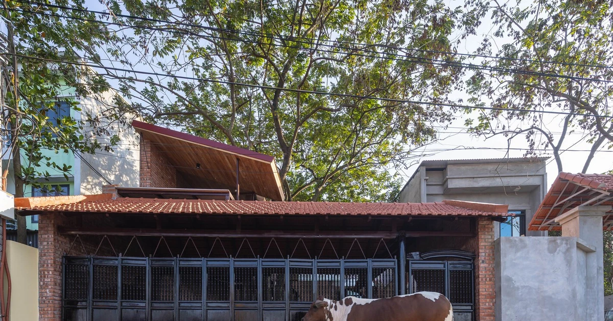 View - Báo Mỹ hết lời ca tụng nhà gạch mộc trầm mặc giữa Hà Nội | Báo Tri thức và Cuộc sống - TIN TỨC PHỔ BIẾN KIẾN THỨC 24H