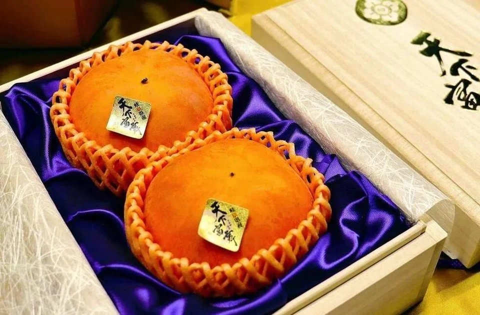 View - Cặp hồng Nhật Bản giá gần 200 triệu đồng có gì đặc biệt? | Báo Tri thức và Cuộc sống - TIN TỨC PHỔ BIẾN KIẾN THỨC 24H