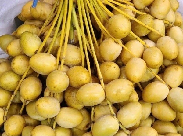 View - Chà là tươi nguyên cành giá rẻ gây sốt thị trường | Báo Tri thức và Cuộc sống - TIN TỨC PHỔ BIẾN KIẾN THỨC 24H