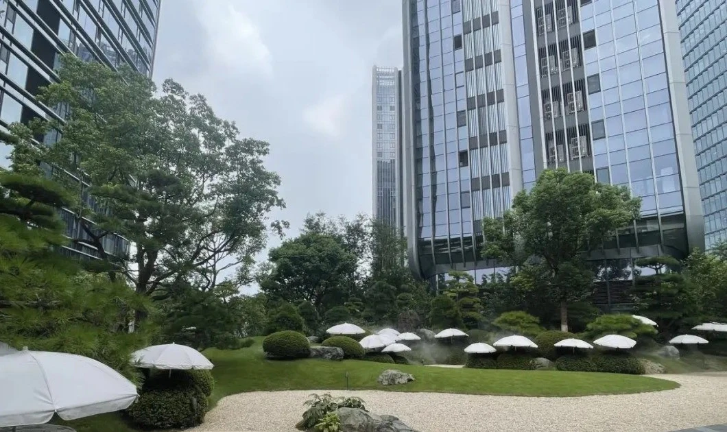 View - Bên trong khu chung cư chi “núi tiền” thuê ô che nắng cho cây | Báo Tri thức và Cuộc sống - TIN TỨC PHỔ BIẾN KIẾN THỨC 24H