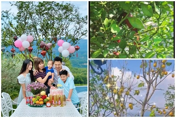 View - Khu vườn ngập cây trái trong biệt thự trên núi của Mạnh Trường | Báo Tri thức và Cuộc sống - TIN TỨC PHỔ BIẾN KIẾN THỨC 24H