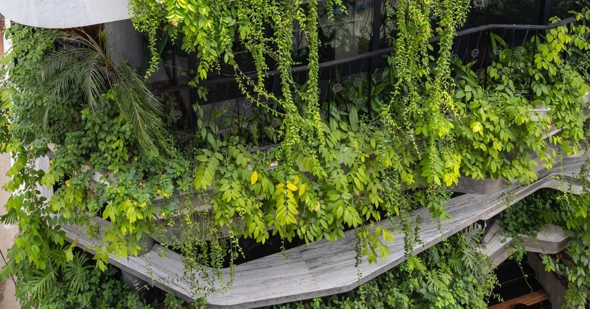 View - Chiêm ngưỡng tòa nhà 8 tầng như ốc đảo xanh giữa lòng Hà Nội | Báo Tri thức và Cuộc sống - TIN TỨC PHỔ BIẾN KIẾN THỨC 24H