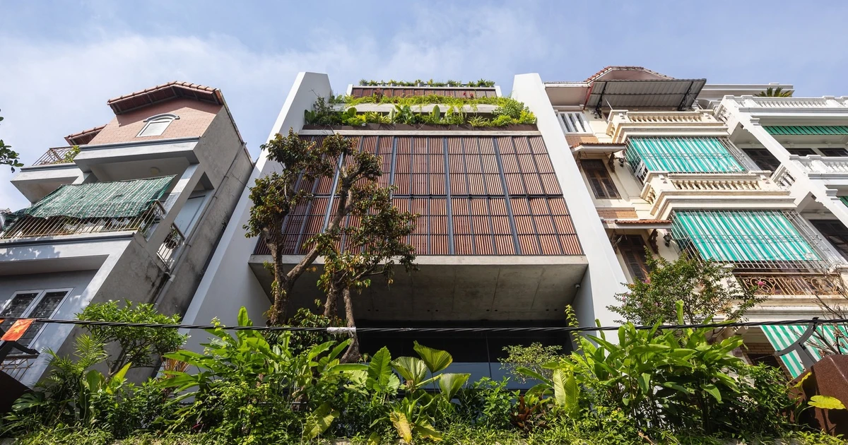 View - Báo Mỹ ca tụng ngôi nhà 7 tầng xanh mướt giữa Hà Nội | Báo Tri thức và Cuộc sống - TIN TỨC PHỔ BIẾN KIẾN THỨC 24H