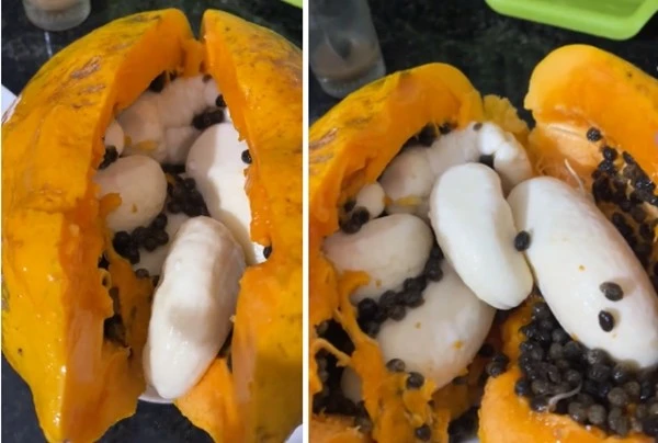 View - "Sửng sốt" quả đu đủ được trả 100 triệu, chủ nhân chưa muốn bán | Báo Tri thức và Cuộc sống - TIN TỨC PHỔ BIẾN KIẾN THỨC 24H