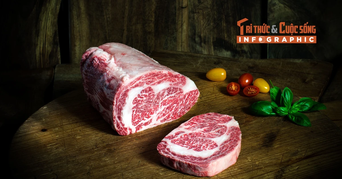 View - [INFOGRAPHIC] Vì sao thịt bò Wagyu siêu đắt đỏ? | Báo Tri thức và Cuộc sống - TIN TỨC PHỔ BIẾN KIẾN THỨC 24H