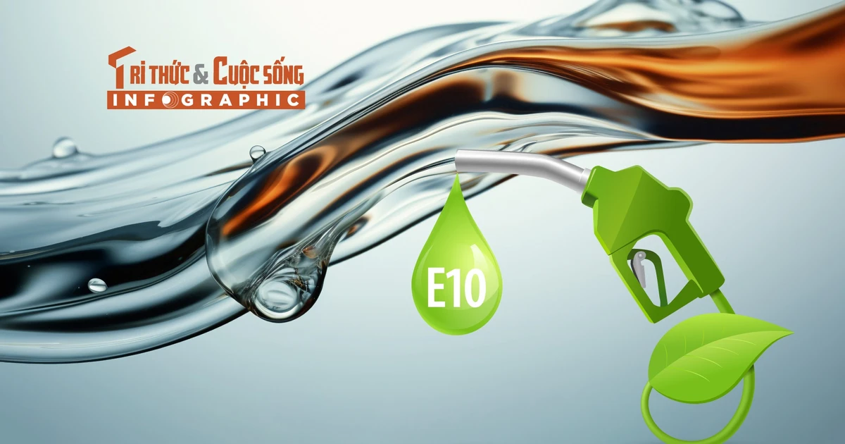 View - [INFOGRAPHIC] Điều ít biết về xăng E10 sắp phủ sóng cả nước | Báo Tri thức và Cuộc sống - TIN TỨC PHỔ BIẾN KIẾN THỨC 24H