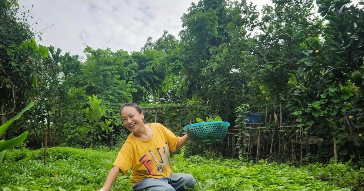 View - Vườn rau hơn 3.000 m2 ven sông Hồng của diễn viên Tú Oanh | Báo Tri thức và Cuộc sống - TIN TỨC PHỔ BIẾN KIẾN THỨC 24H