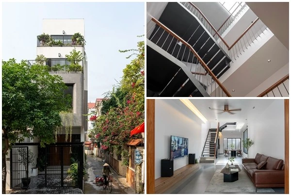 View - Khám phá ngôi nhà như "ốc đảo xanh" giữa lòng Hà Nội | Báo Tri thức và Cuộc sống - TIN TỨC PHỔ BIẾN KIẾN THỨC 24H