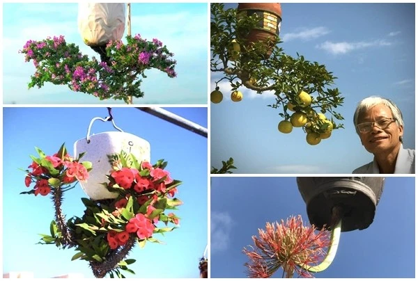 View - Ngắm bonsai mọc ngược có 1-0-2 của nghệ nhân xứ Quảng | Báo Tri thức và Cuộc sống - TIN TỨC PHỔ BIẾN KIẾN THỨC 24H