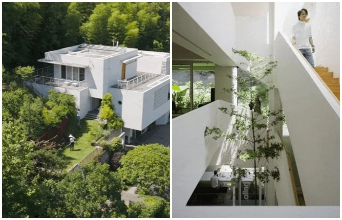 View - Biệt thự hơn 700m2 tặng bố mẹ về hưu của chàng trai 9X | Báo Tri thức và Cuộc sống - TIN TỨC PHỔ BIẾN KIẾN THỨC 24H